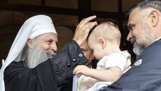 Patriarch Porfirije: „Das Reich Gottes erfüllt unser tiefstes Bedürfnis“