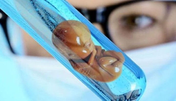 Symbolabbildung eines Embryos im Reagenzglas. Foto: kath.net
