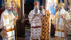 Patriarch Porfirije: „Der Herr ist weder Revolutionär noch Sozialreformer“