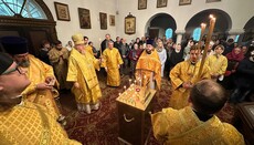 Erzbischof Tichon: „Es gibt keinen Kummer, den der Herr nicht heilen kann.“