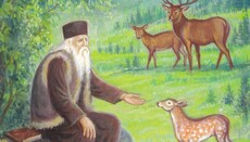 Band III der Kinder­geschichten des heiligen Cleopa auf Deutsch erschienen