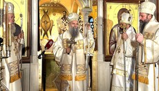 Patriarch Porfirije: „Die Liebe ist Sinn und Ziel unseres Lebens“