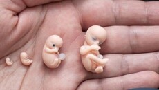 Griechisch-orthodoxe Bischöfe verurteilten EU-Abtreibungsfonds