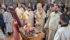 Fest des serbischen Nationalheiligen Sava in Zürich feierlich begangen