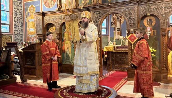 Bischof Irenei zelebrierte Liturgie zum Fest des Heiligen Sava in Birmingham