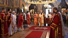 Patriarch Daniil rief zu würdigem Kommunionempfang in der Fastenzeit auf