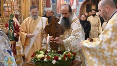 „Nichts ist uns Kostbareres geschenkt worden als das Kreuz Christi“