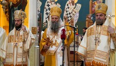 „Ihr müsst Glauben haben“ – Patriarch Porfirije predigt in Neu-Belgrad