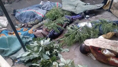 In Nigeria haben Radikale am Palmsonntag Dutzende Christen erschossen