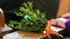 Polizei sucht Zeugen nach Störung bei Palmsonntagsprozession in Würzburg