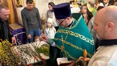 Palmsonntag in Kölner Gemeinde