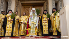 Palmsonntagswallfahrt in Bukarest: Prozession als „Pilgerweg des Lichts“