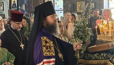 Bischof Irenei über den Palmsonntag: „Ein Tag der Freude und des Schmerzes“