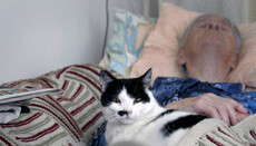 England stoppte Gesetz zur Suizidbeihilfe und löste Reaktionen aus