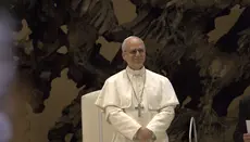 Papst lehnte formelle Segnungen gleichgeschlechtlicher Paare ab