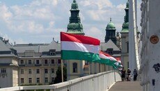 In Ungarn drohen einem Mann bis zu drei Jahre Haft wegen entfernter LGBT-Flaggen