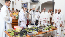 Metropolit Irinej: Verklärung Christi verwandelt den Blick des Menschen
