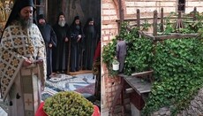 Athos-Kloster Hilandar: Weinlese am Rebstock des heiligen Simeon