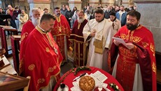 Deutschsprachige serbisch-orthodoxe Gemeinde in Limburg feierte Patronatsfest