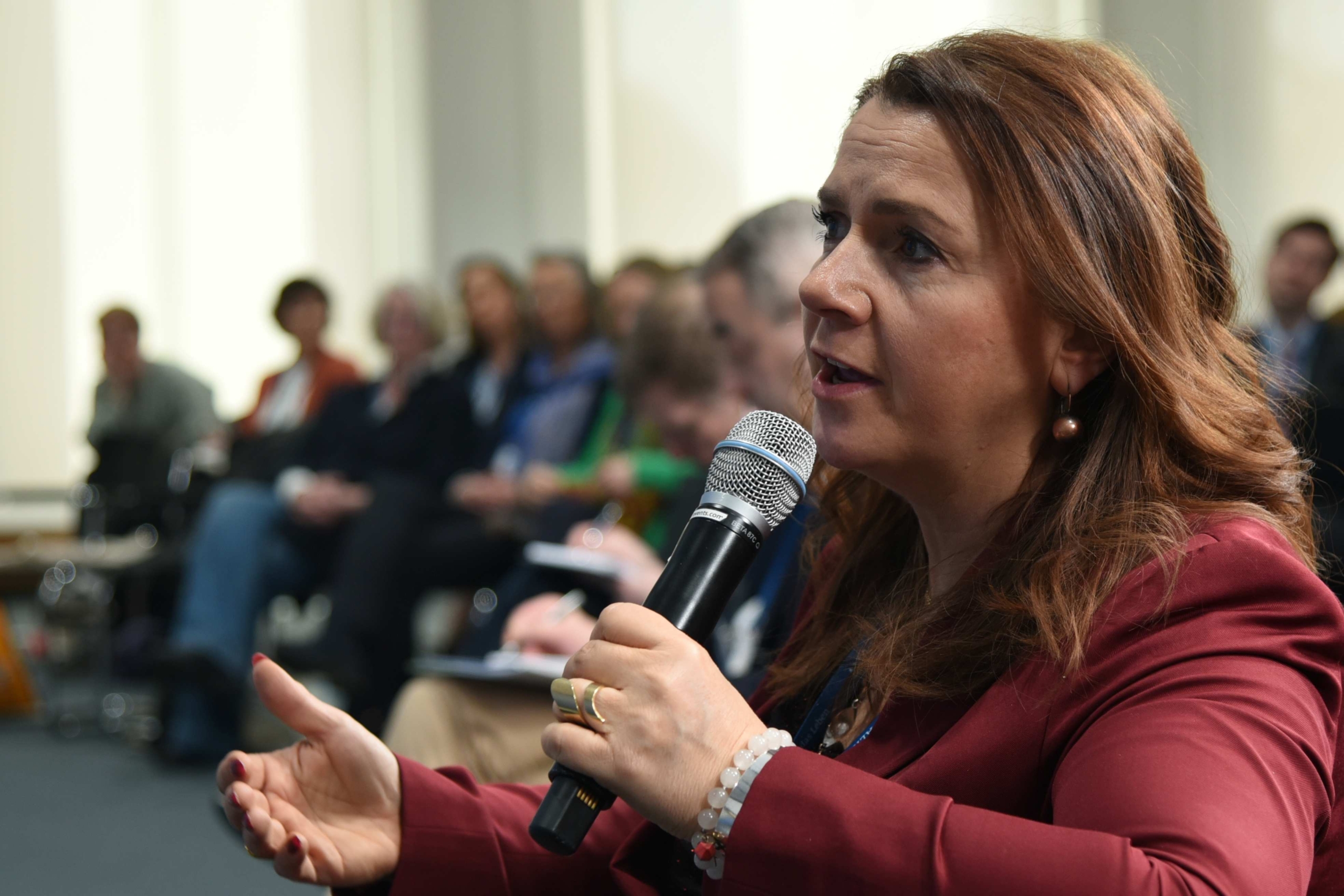 Kongress in Berlin forderte entschiedenes Vorgehen gegen Leihmutterschaft фото 1