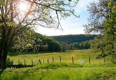 Mönche, die dem Fortschritt um 300 Jahre voraus waren - Foto 2